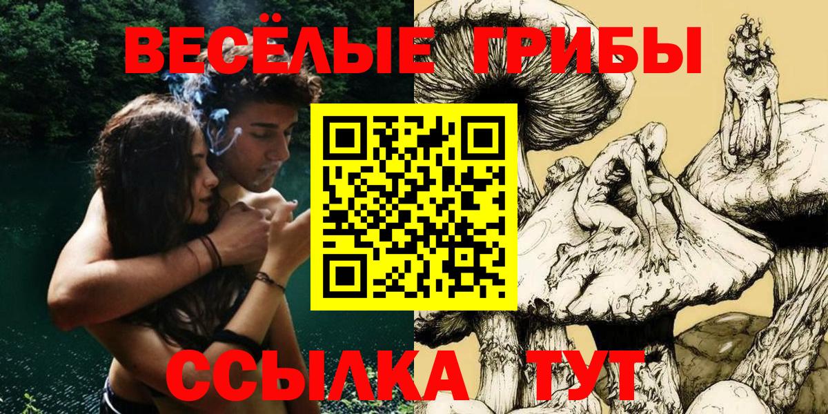 Псилоцибиновые грибы прущие грибы  Псилоцибиновые грибы MAGIC MUSHROOMS  Краснознаменск  Вход с VPN 