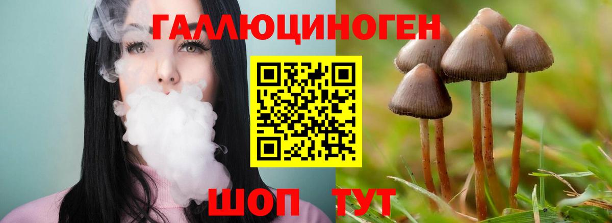 Псилоцибиновые грибы прущие грибы Краснознаменск