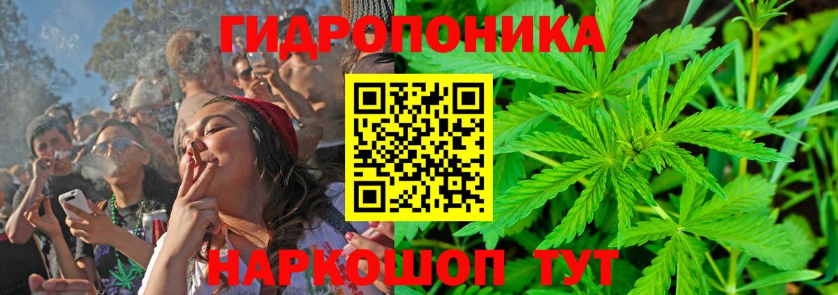 Конопля тримм  Вход с VPN  Марихуана сатива  Бошки марихуана AK-47  Краснознаменск  Марихуана тримм 